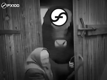 Video 389
